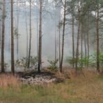Waldbrand-Gerstedt2-2.jpg
