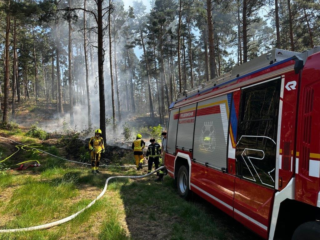 Einsatz Feuerwehr_Brand Waldboden